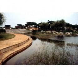 相片來源:中華民國交通部觀光局,拍攝者蕭綱侯 台中