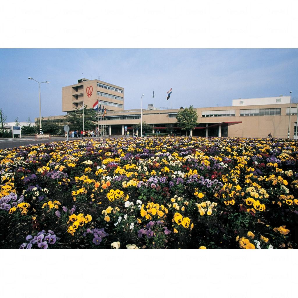 阿斯米爾鮮花拍賣市場- 阿姆斯特丹旅遊| U Travel