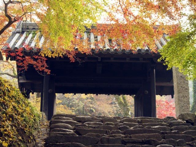 秋月城跡 - 福岡旅遊 | U Travel