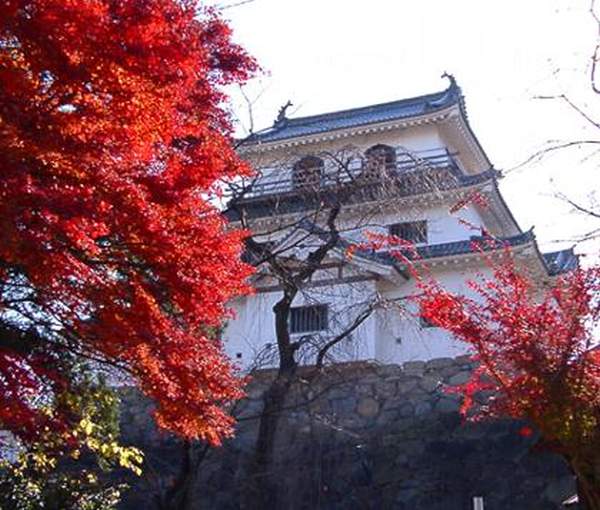 相片來源:白石城 仙台