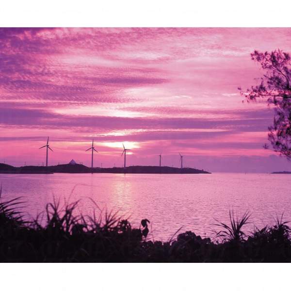 相片來源:沖繩觀光會議局 沖繩