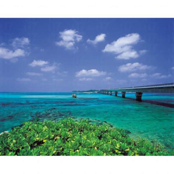 相片來源:沖繩觀光會議局 沖繩