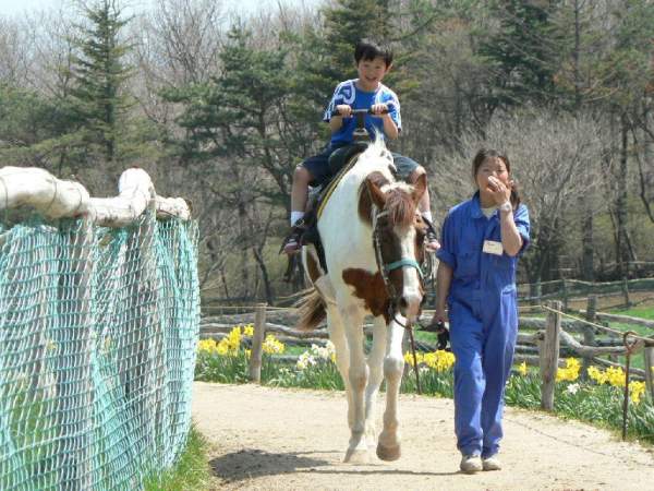 那須