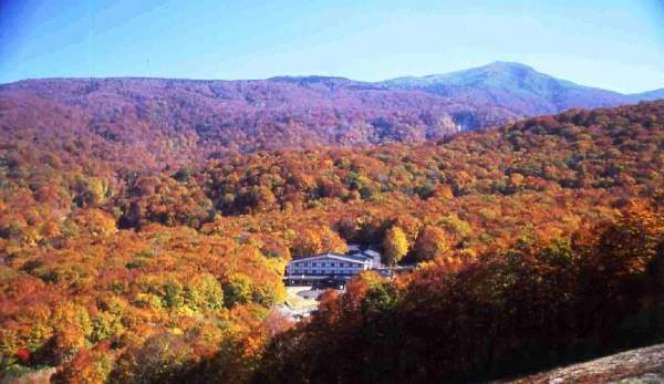 相片來源:休暇村田澤湖高原 秋田