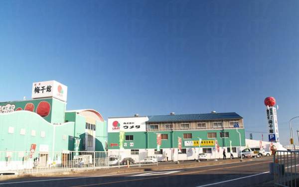 和歌山