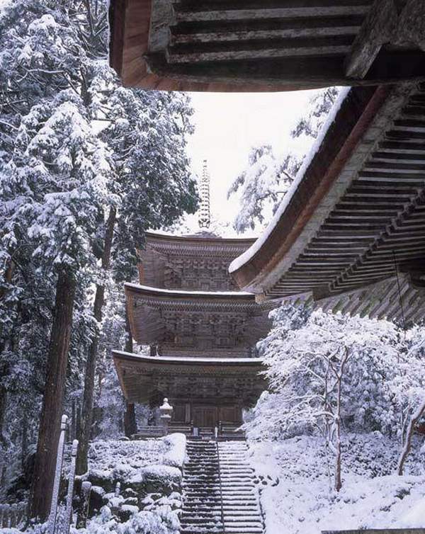 福井