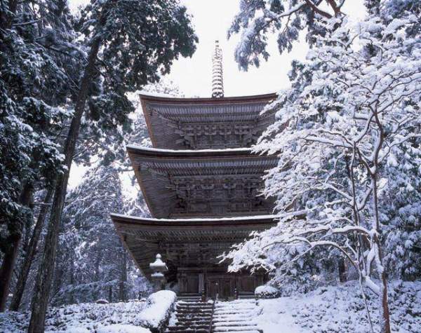 福井