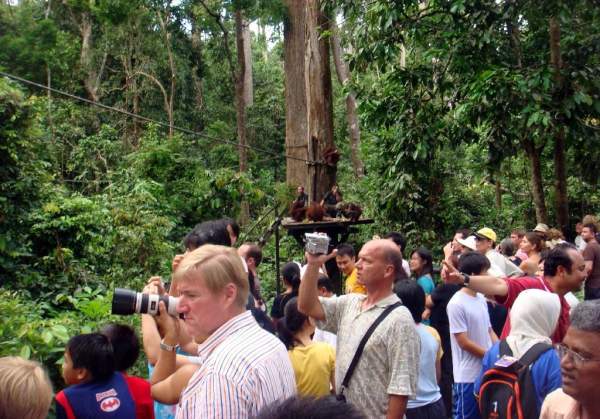 相片來源:沙巴旅遊局 沙巴