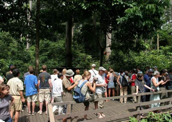 相片來源:沙巴旅遊局 沙巴