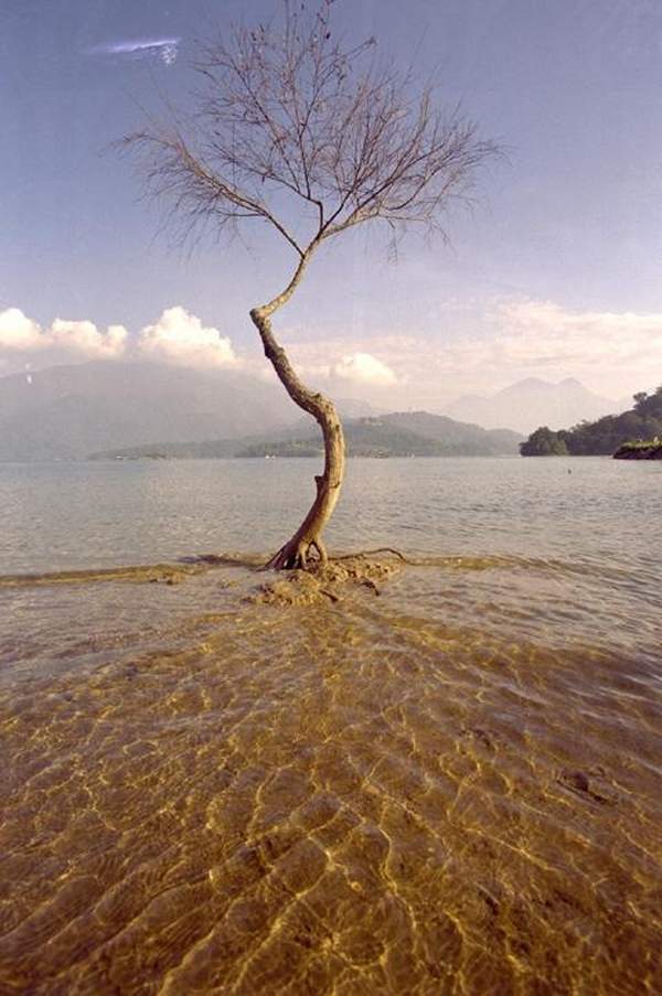 南投