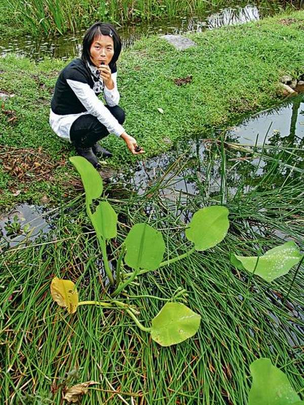 宜蘭