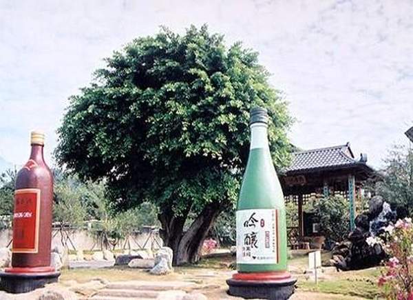 南投