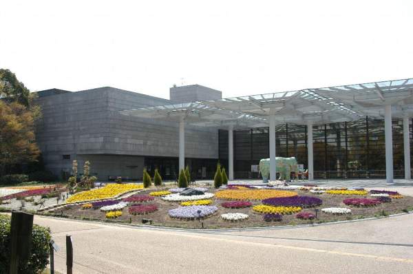 相片來源:大阪市立自然史博物館 大阪