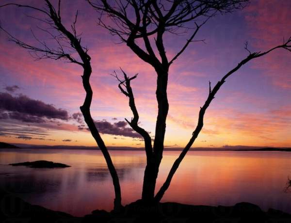 相片來源:Tourism Tasmania and Paul Sinclair 塔斯曼尼亞