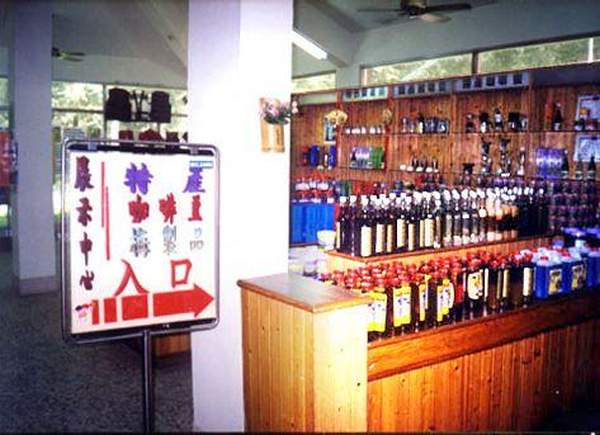 南投