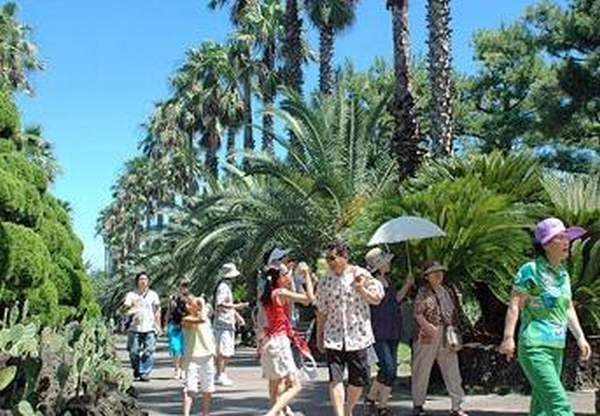 相片來源:翰林公園 濟州