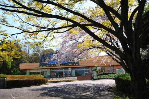 Visitpr Centre。相片來源:Japan Monkey Centre 名古屋