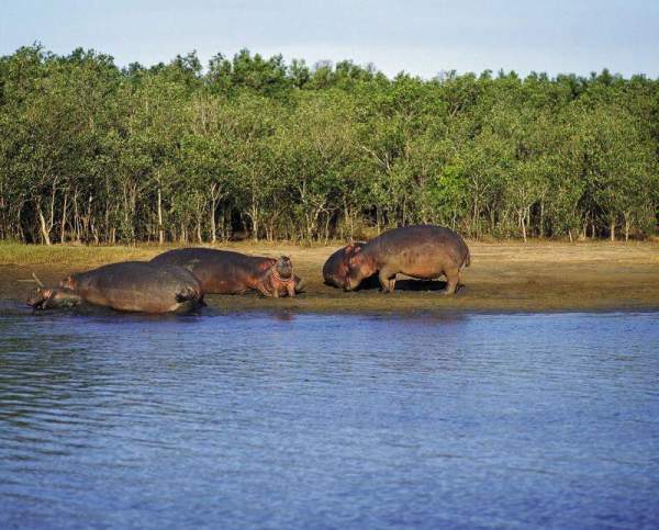 夸祖魯-納塔爾省