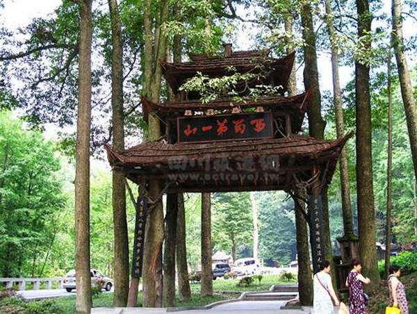 青城山林蔭處處。相片來源 : 四川旅遊資訊網 成都