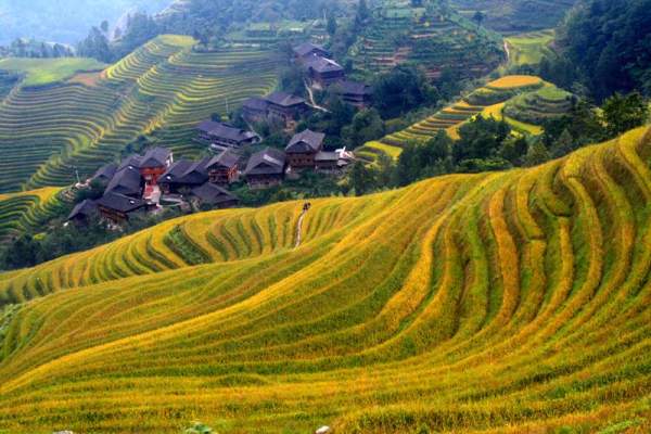 相片來源﹕桂林旅遊網 (攝影—陽應清) 桂林