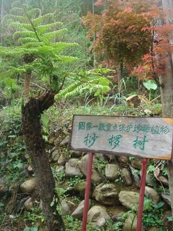 相片來源﹕桂林旅遊網 桂林