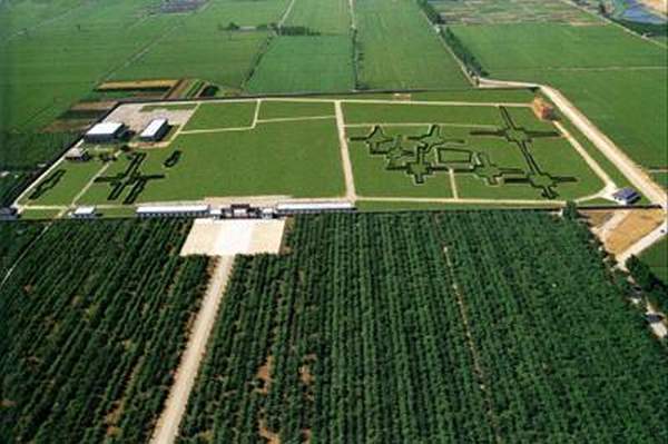 相片來源:安陽殷墟博物苑 中國其他