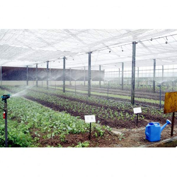 有機種植。 香港