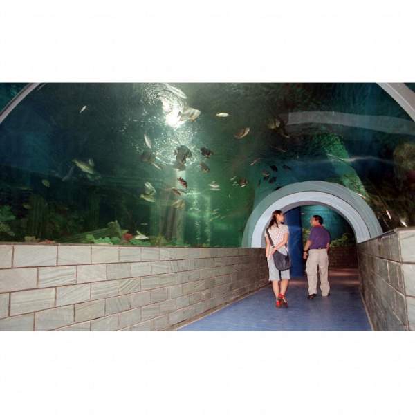 深圳小梅沙海洋世界 深圳