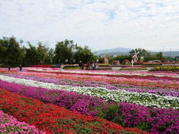 (相片來源︰中社觀光花市) 台中