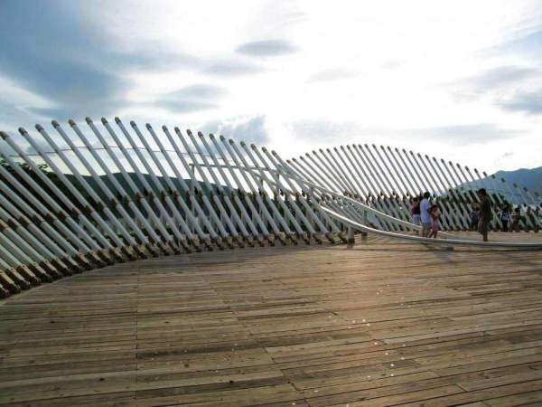 山頂「鳥望台」有一隻大鳥,向大橋展翅高飛。 香港
