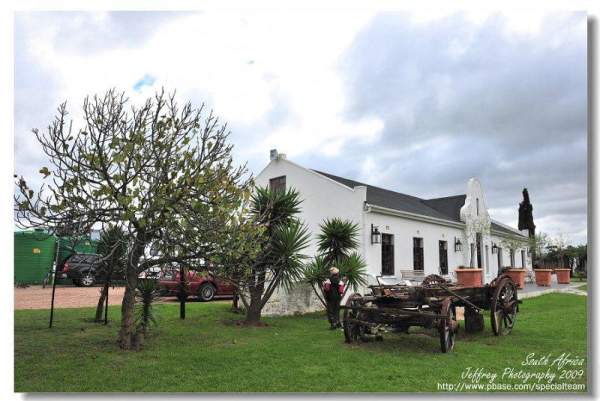 園內有一大片草地,可以給眾多鴕鳥散步。( 相片來源 : 網友 Specialteam ) 西開普