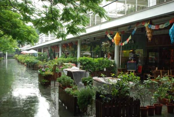 於扶疏綠蔭下進食更覺寫意。 深圳