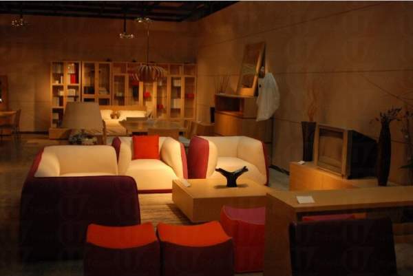 易家儂主打進口家具品牌。 深圳