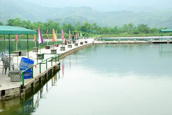 魚場附近一帶鳥語花香。 香港