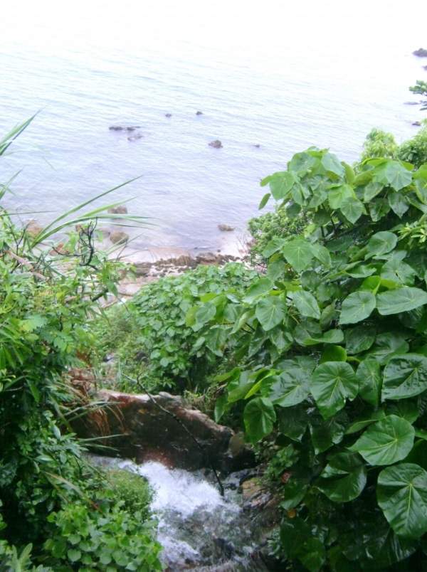 深圳