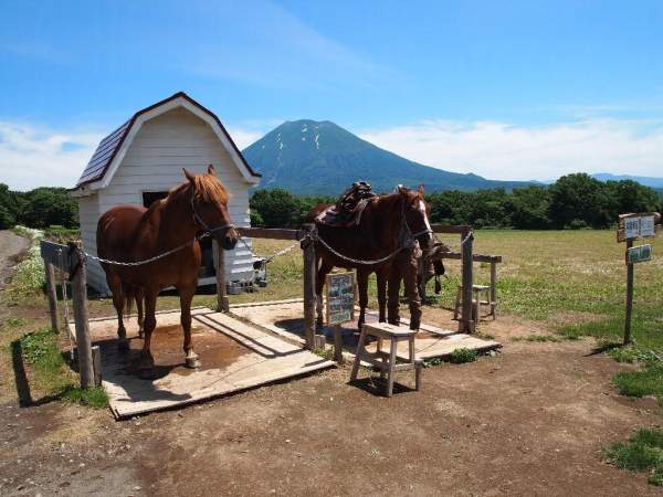 二世古