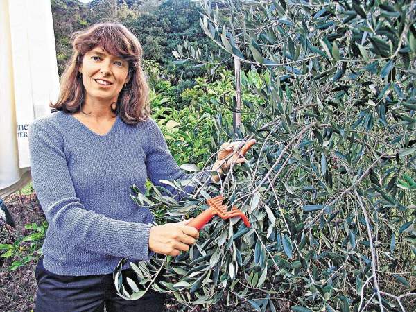 奧克蘭