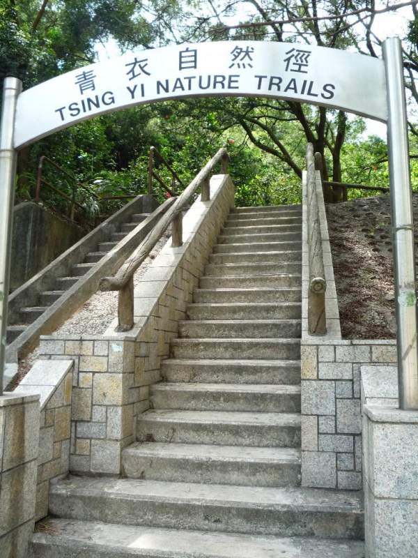 於青衣地鐵站乘搭 248M 至終點站後,再沿著馬路向上步行 約 10 分鐘就即可到達自然徑的入口。(相片來源:Clara Lee) 香港