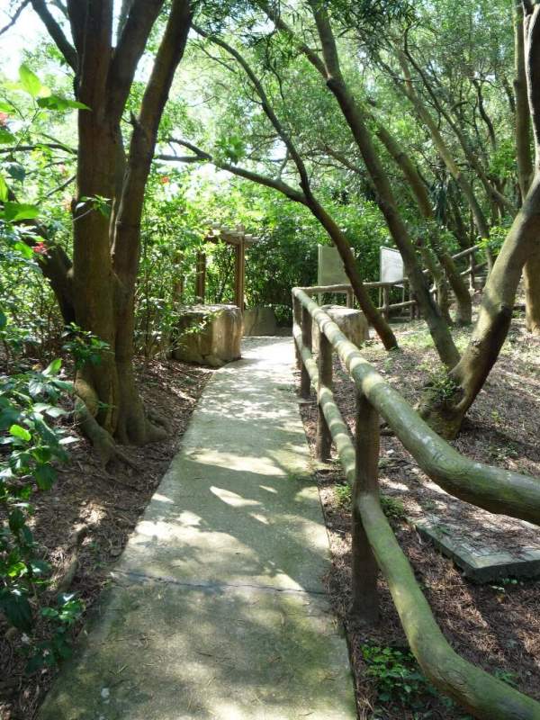 青衣自然徑樹木林蔭,漫步於其間確能洗刷一身塵囂。(相片來源:Clara Lee) 香港