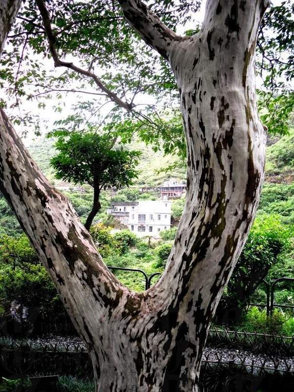 台北
