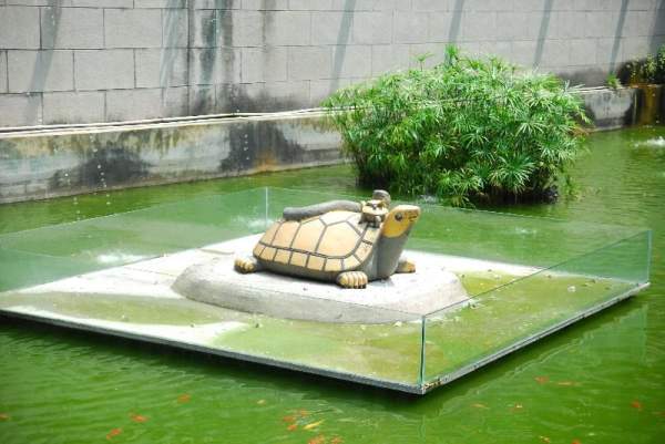 祠內靈龜,道教中表示長壽。 廣州