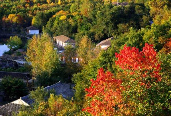 鏡泊峽谷被眾多樹木所包圍,風景優美。 牡丹江