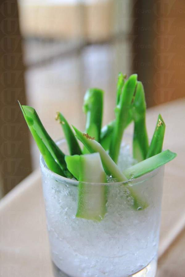 冰鎮鮮窩筍,在窩筍上加入金箔。 香港