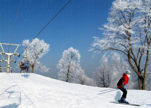 除滑雪外,遊客在這裏還可以參與雪地摩托、雪地自行車、雪圈等各類戲雪項目。 哈爾濱
