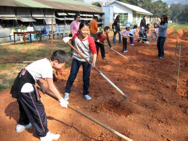 一家大小一起參與田間的工作,享盡天倫之樂。 香港