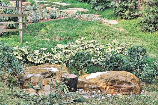 這兩塊石頭原是冷凍系統,供牠們夏日散熱。 澳門