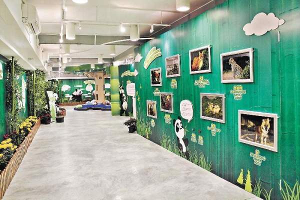 資訊中心不同角落,都用盡來介紹熊貓的生活。 澳門