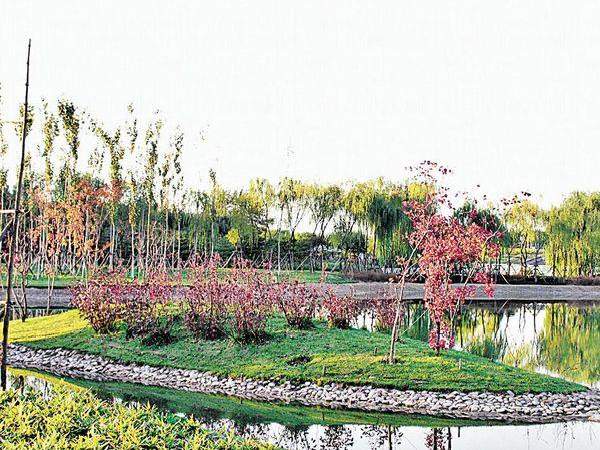 海淀公園以石坪構成圈池,更於池的中心設沙洲。(相片來源:馮柏偉、SLA 建築事務所) 北京