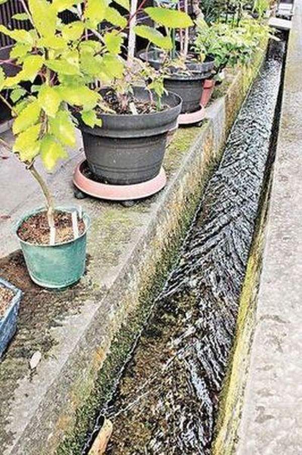 中部其他