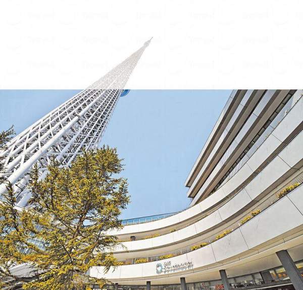 東京
